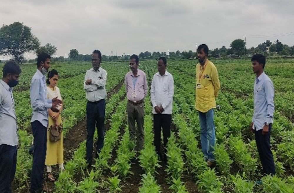 Visit of Hon. DI & Dean and Dr. Mhetre Soybean Breeder to PG Experiments
